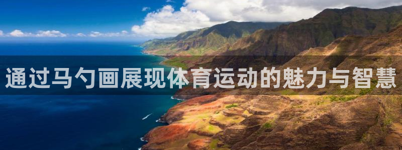 哈哈体育十年