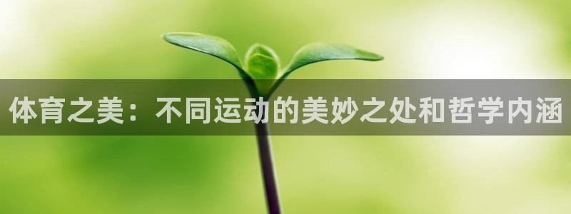 哈哈体育下载