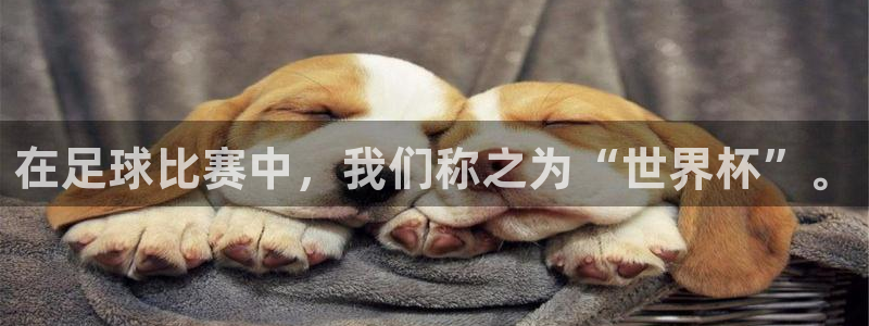 哈哈体育十年