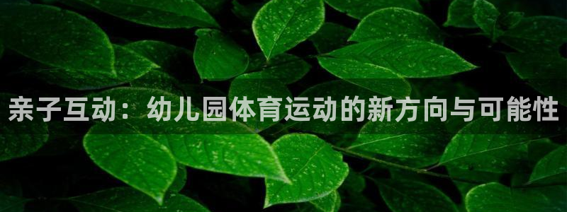 哈哈体育十年