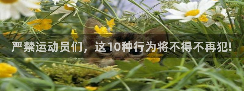 哈哈体育下载