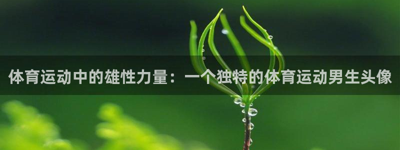 哈哈体育