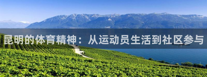 哈哈体育下载