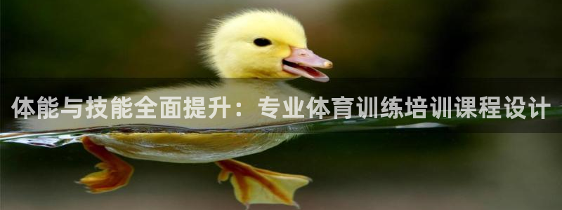 哈哈体育