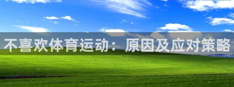 哈哈体育下载