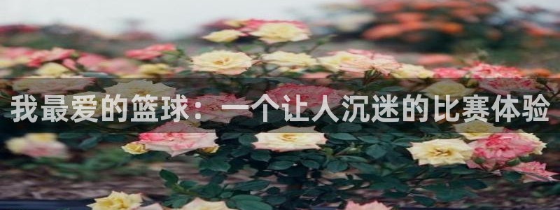 哈哈体育下载